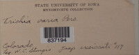 Image Associated With the Occurence